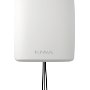 Peplink IP66 Directional Dual MIMO IoT Antenna